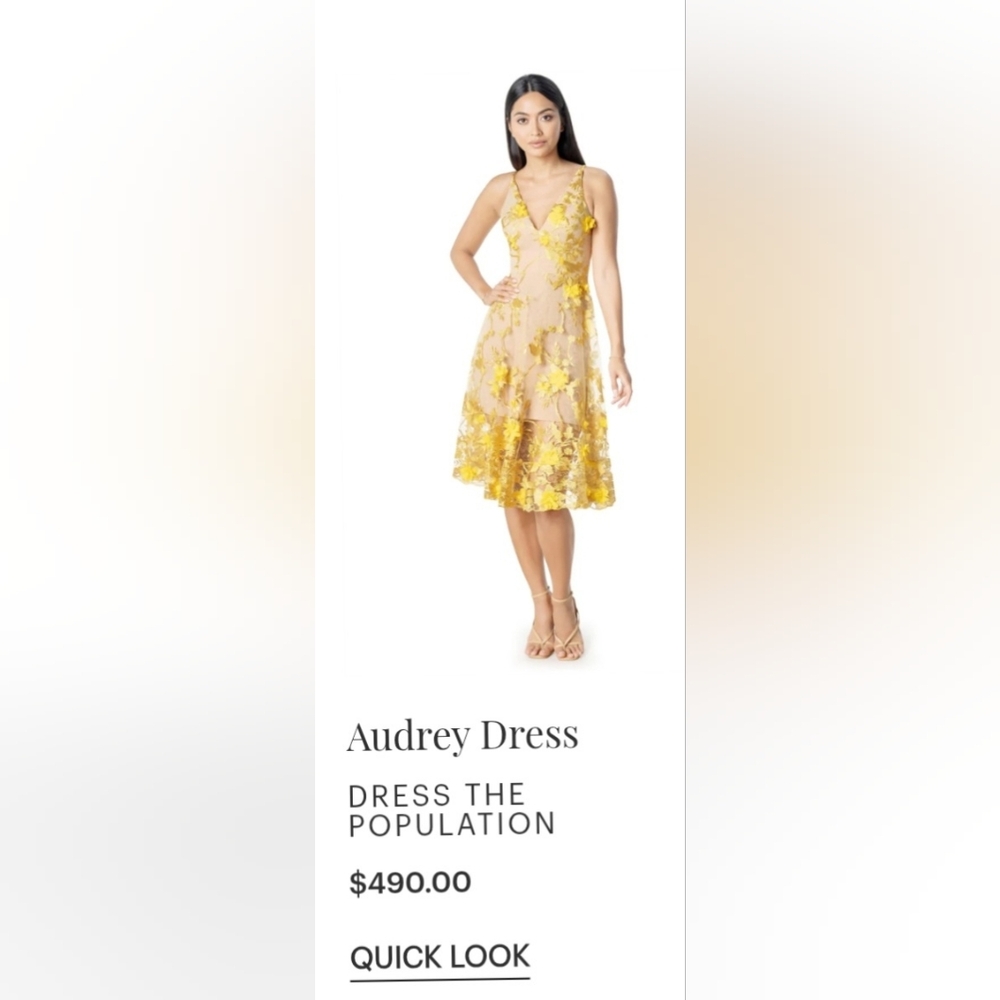 Dress The Population Audrey Fit & Flare Sheer Lace Floral Appliqué Midi Dress